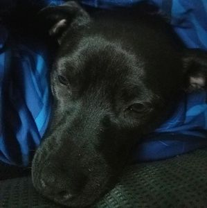 Meet your Posher, Ashlee